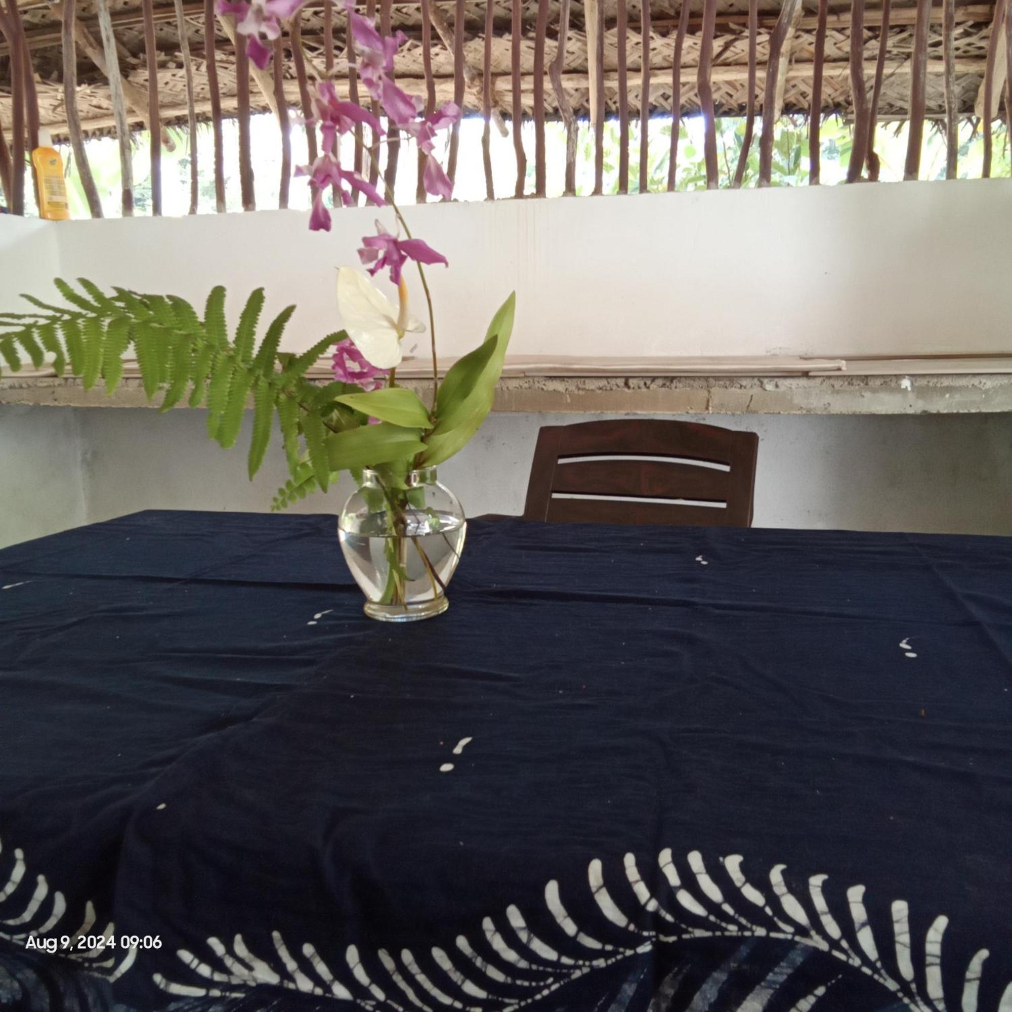 Dillenia Canopy มิริสซา ภายนอก รูปภาพ