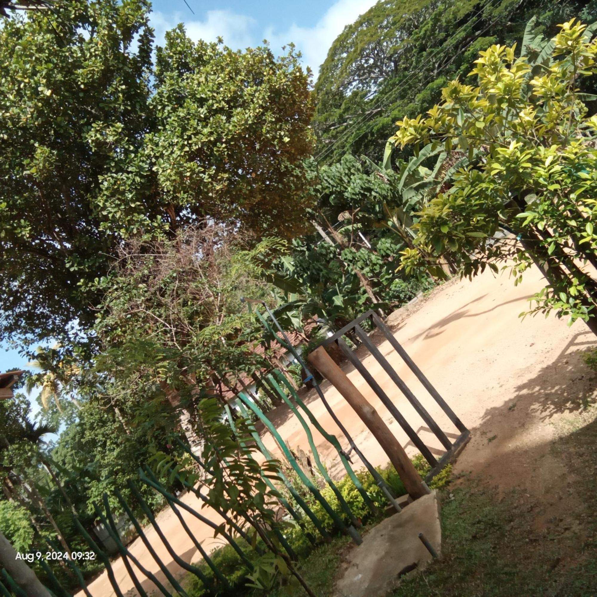 Dillenia Canopy มิริสซา ภายนอก รูปภาพ